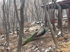 -方城县七峰山生态旅游区