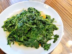 酒香草头-双塔老饭店