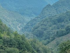 -石台牯牛降景区