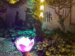 -印象普陀