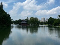 -桃花岛公园