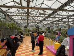 -南宫五洲植物乐园