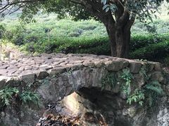 -杭州西湖风景名胜区-三生石