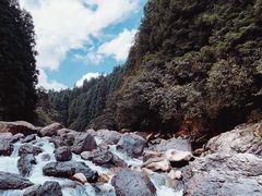 -瓦屋山景区