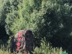 -洮儿河国家湿地公园