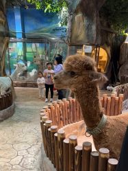 -宝燕乐园(闵行旗舰店)