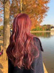 -BEAUTY HAIR GANO