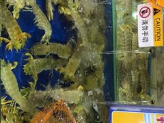 -东江海鲜酒家(艺都分店)