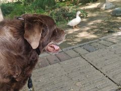 -酷宠动物医院(天通西苑店)