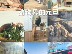 -无锡动物园·太湖欢乐园
