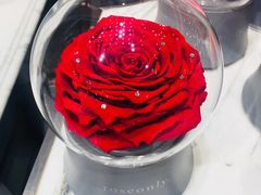 -ROSEONLY诺誓(国际广场购物中心店)