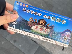 -海南槟榔谷黎苗文化旅游区