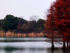 -尚湖风景区