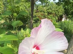 -武清南湖绿博园