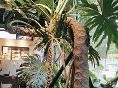 -J Create城市露营咖啡·简餐·宠物(上海动物园店)