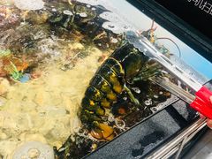 -盒马鲜生(曜一城店)