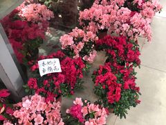-无锡文化工艺品市场(槐古路店)