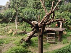 -宁波野生动物园