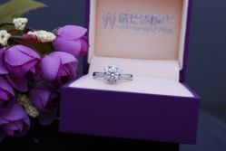 DSC_0286-威德钻石-克拉钻大本营(南京东路店)