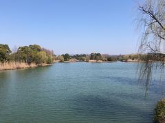 -苏州太湖国家湿地公园