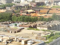 -沈阳玫瑰大酒店