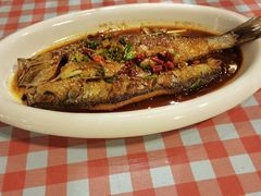 -陶然风味园(广场路店)