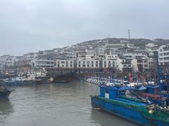 -枸杞岛