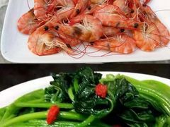 -白沙门生态公园