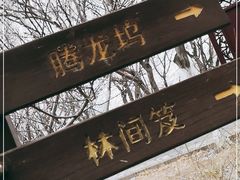 -桃花堤公园