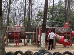 -合肥滨湖国家森林公园