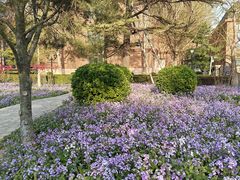 -北京市海淀外国语实验学校