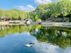 -石家庄市动物园