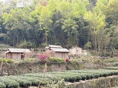 -十九峰景区-倒脱靴