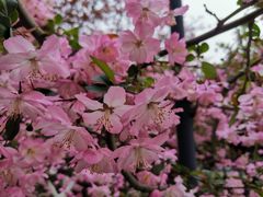 -常州古运河南大街文化旅游区-人民公园