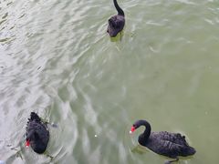 -蓬莱欧乐堡梦幻世界