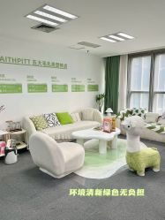 -凡碧诗毛孔清洁收细