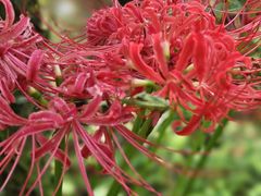 -狼山风景名胜区