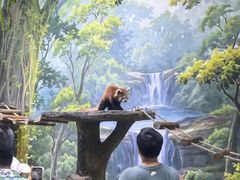 -海合安成都极地海洋公园