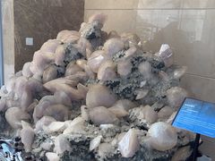 -湖南省地质博物馆