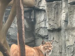 -石家庄市动物园