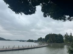 -水上明月·湖景餐厅