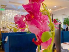 -花舍·新派粤菜·西餐·下午茶(亚运村·鸟巢店)