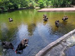 -海南热带野生动植物园