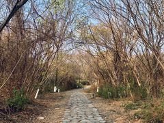 -盘龙城国家考古遗址公园