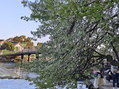 -东钱湖旅游度假区