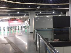 -东方体育中心(地铁站)