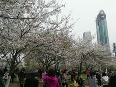 -西北湖绿化广场