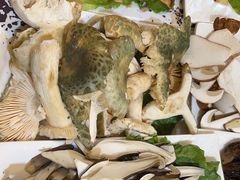 -野菌皇海景野生菌火锅(滨海大道店)