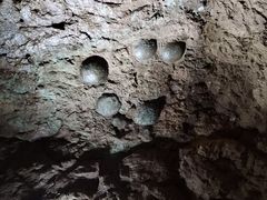 -西峡恐龙遗迹园