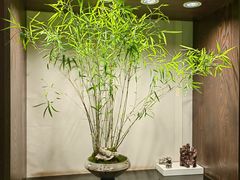 -双季花艺园艺市场(浦东店)